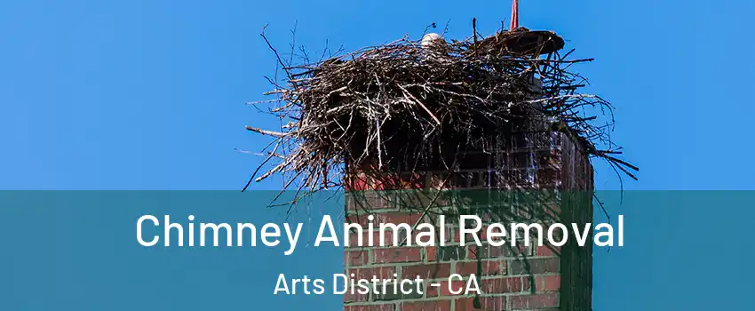 Chimney Animal Removal Arts District - CA