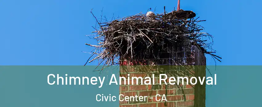 Chimney Animal Removal Civic Center - CA