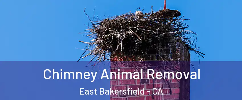 Chimney Animal Removal East Bakersfield - CA
