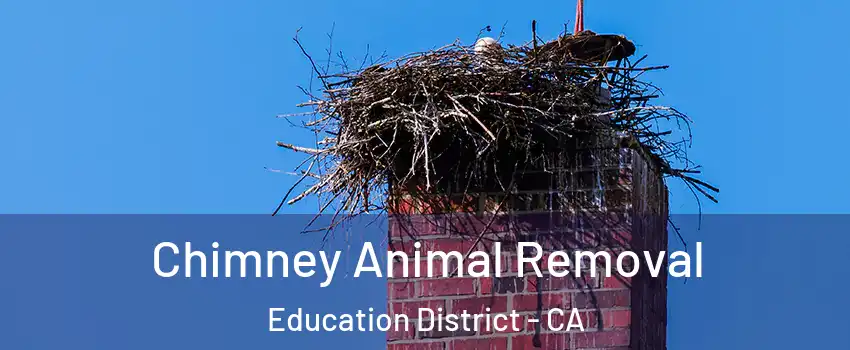 Chimney Animal Removal Education District - CA