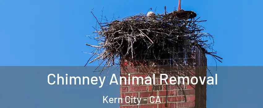 Chimney Animal Removal Kern City - CA