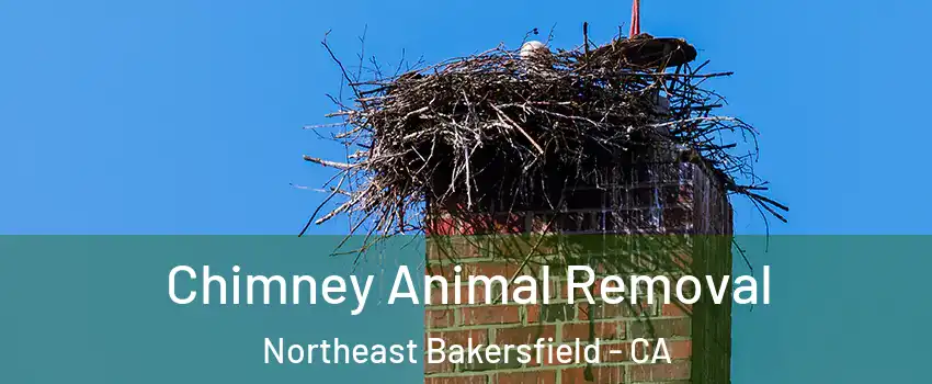 Chimney Animal Removal Northeast Bakersfield - CA