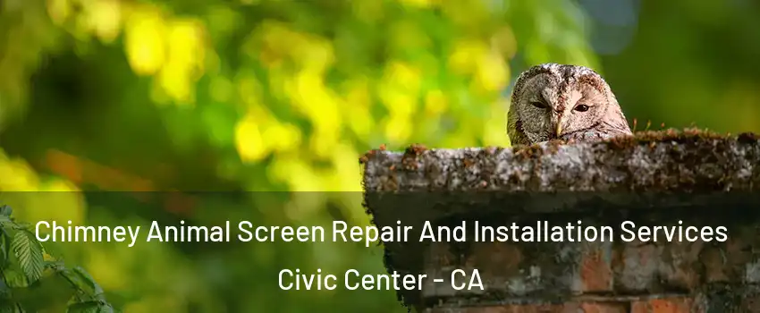 Chimney Animal Screen Repair And Installation Services Civic Center - CA