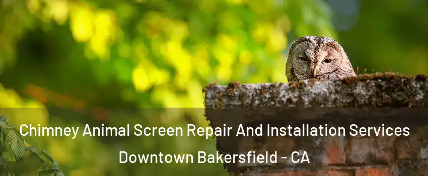 Chimney Animal Screen Repair And Installation Services Downtown Bakersfield - CA