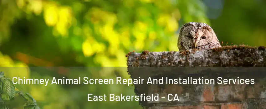 Chimney Animal Screen Repair And Installation Services East Bakersfield - CA