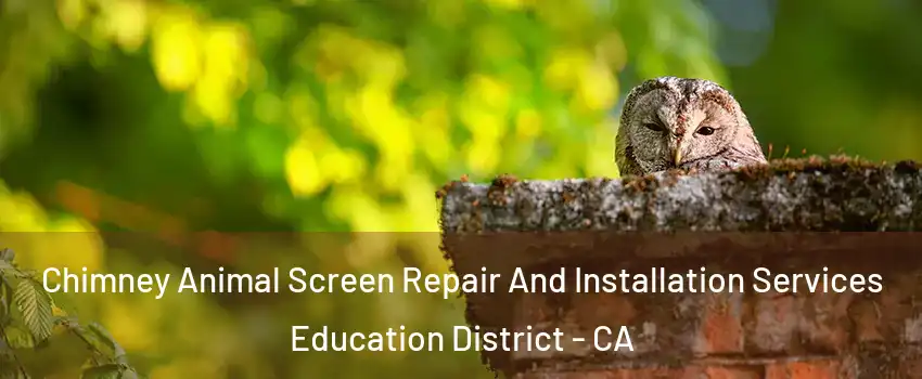 Chimney Animal Screen Repair And Installation Services Education District - CA