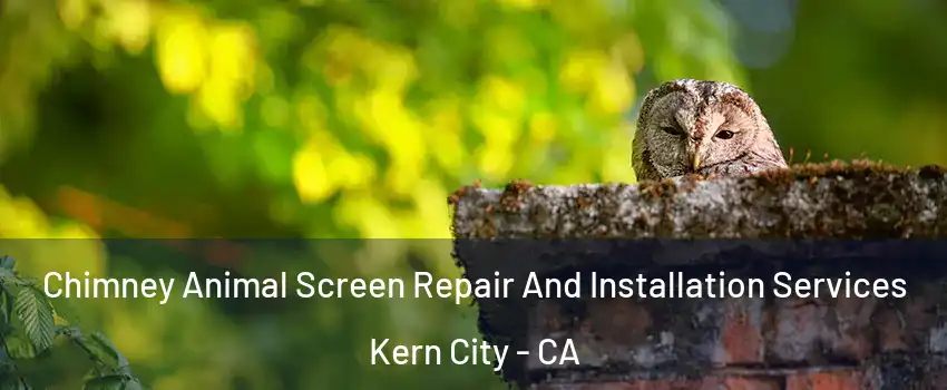 Chimney Animal Screen Repair And Installation Services Kern City - CA