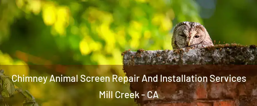 Chimney Animal Screen Repair And Installation Services Mill Creek - CA