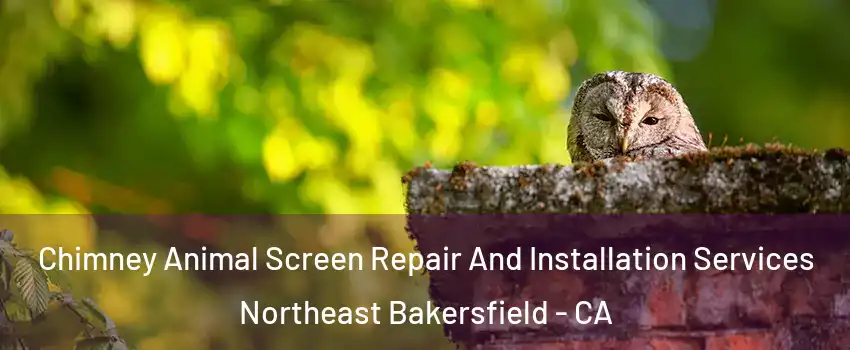 Chimney Animal Screen Repair And Installation Services Northeast Bakersfield - CA