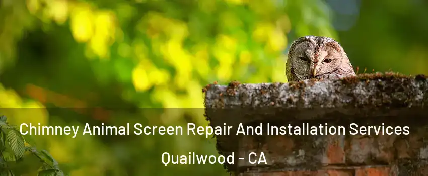 Chimney Animal Screen Repair And Installation Services Quailwood - CA