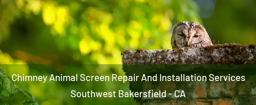Chimney Animal Screen Repair And Installation Services Southwest Bakersfield - CA