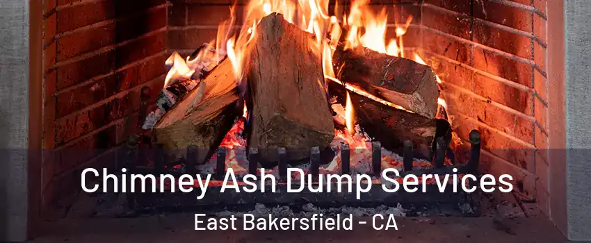 Chimney Ash Dump Services East Bakersfield - CA
