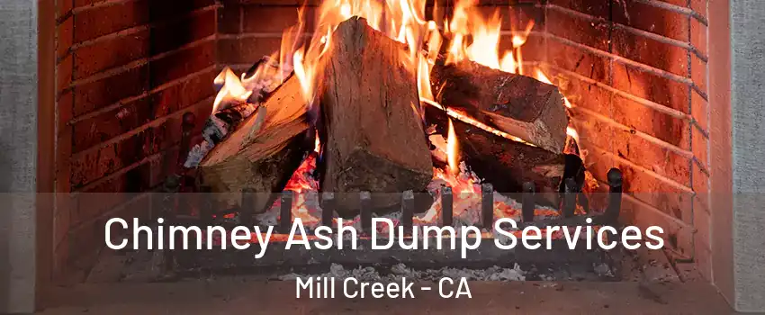 Chimney Ash Dump Services Mill Creek - CA