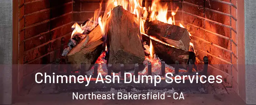 Chimney Ash Dump Services Northeast Bakersfield - CA