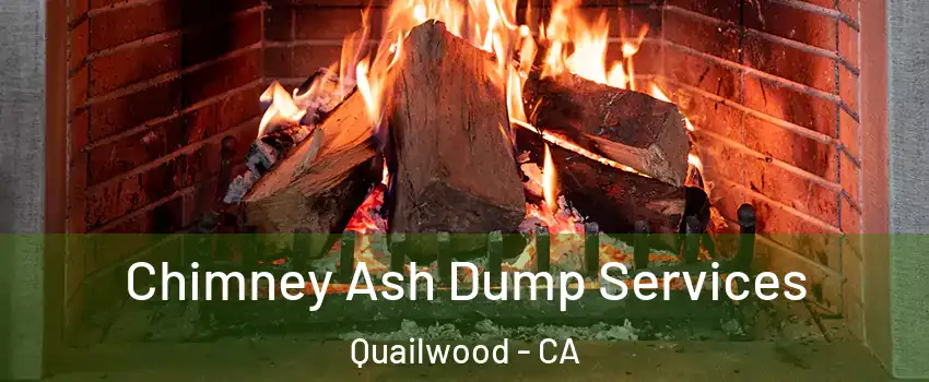 Chimney Ash Dump Services Quailwood - CA