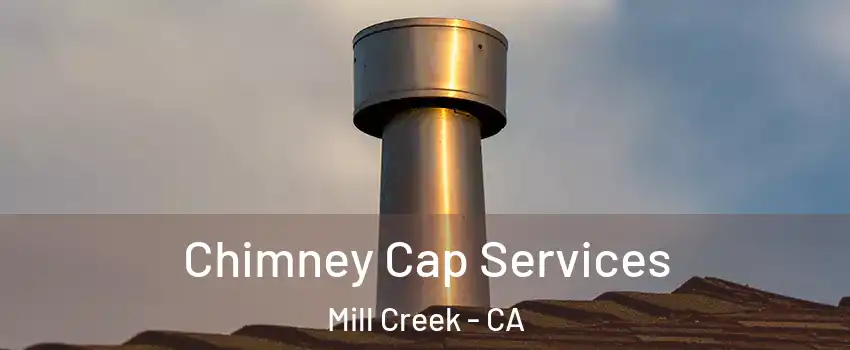 Chimney Cap Services Mill Creek - CA