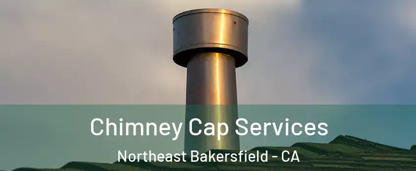 Chimney Cap Services Northeast Bakersfield - CA