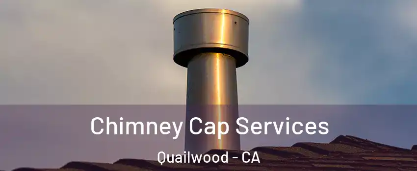 Chimney Cap Services Quailwood - CA