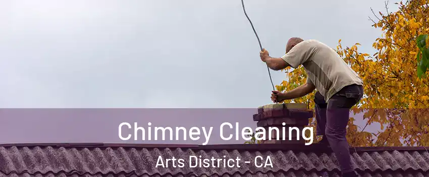 Chimney Cleaning Arts District - CA