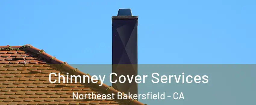 Chimney Cover Services Northeast Bakersfield - CA