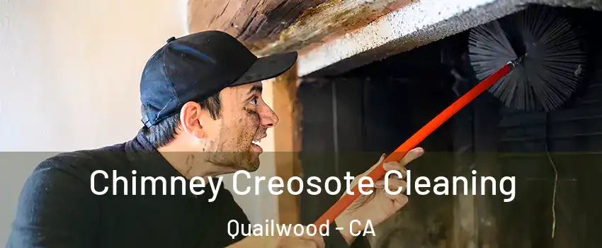 Chimney Creosote Cleaning Quailwood - CA