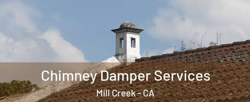 Chimney Damper Services Mill Creek - CA