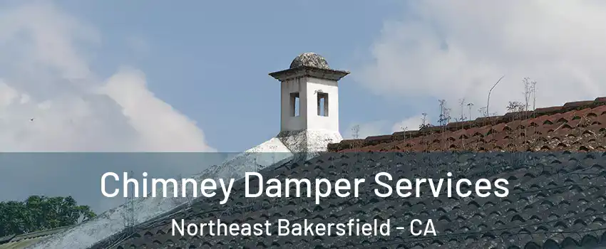 Chimney Damper Services Northeast Bakersfield - CA