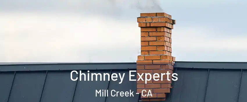 Chimney Experts Mill Creek - CA