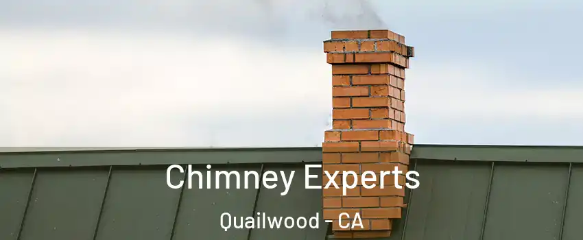 Chimney Experts Quailwood - CA
