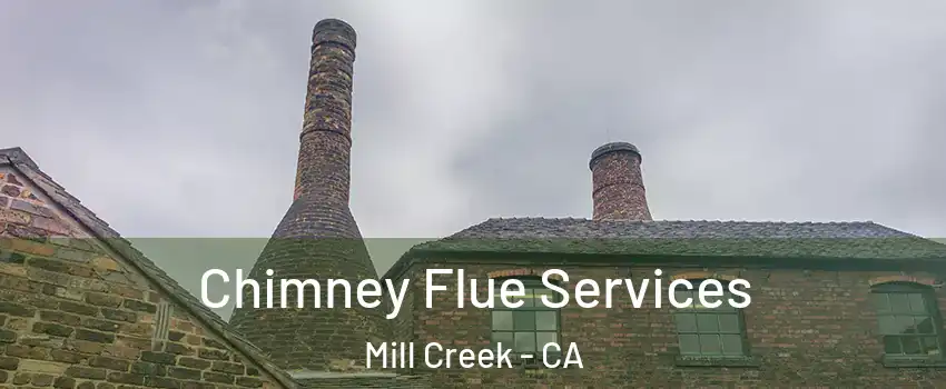 Chimney Flue Services Mill Creek - CA