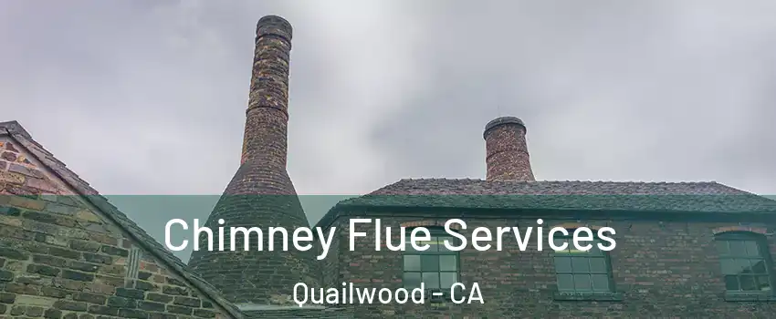 Chimney Flue Services Quailwood - CA
