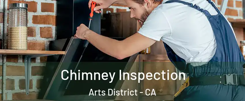 Chimney Inspection Arts District - CA