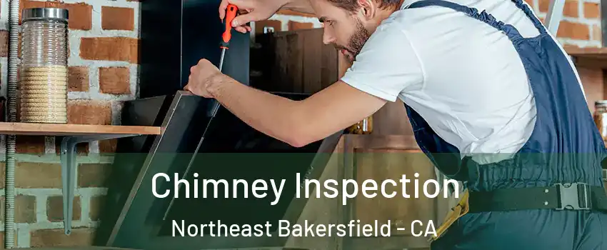 Chimney Inspection Northeast Bakersfield - CA
