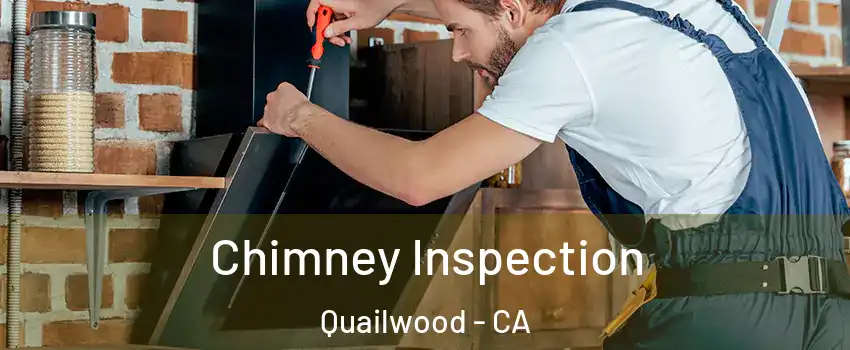 Chimney Inspection Quailwood - CA