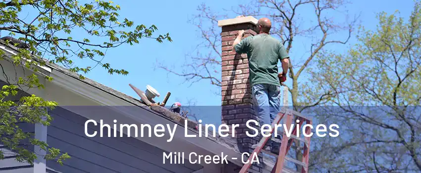 Chimney Liner Services Mill Creek - CA