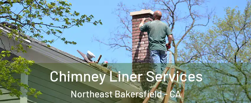 Chimney Liner Services Northeast Bakersfield - CA