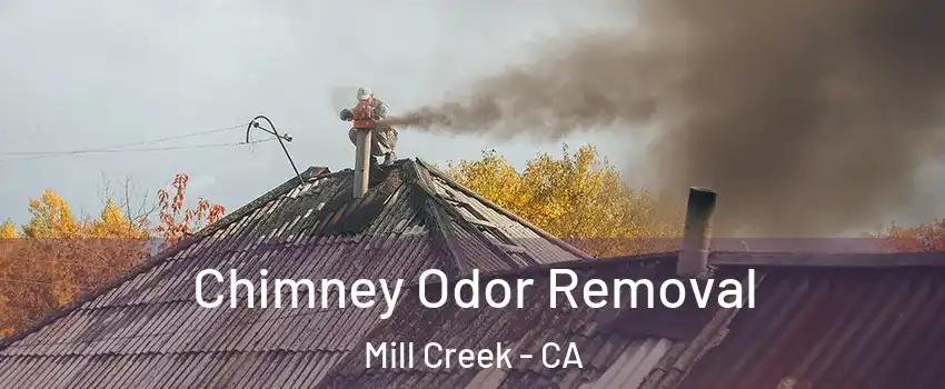 Chimney Odor Removal Mill Creek - CA