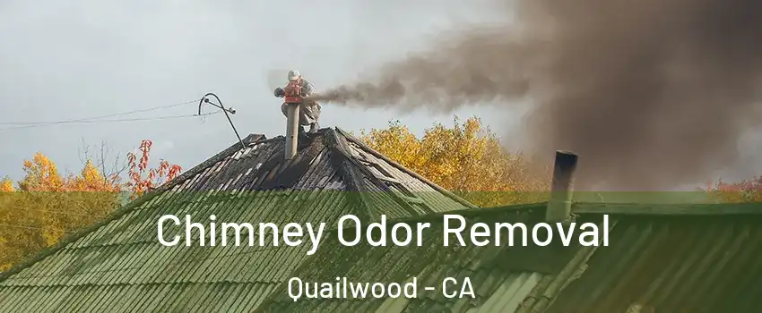 Chimney Odor Removal Quailwood - CA