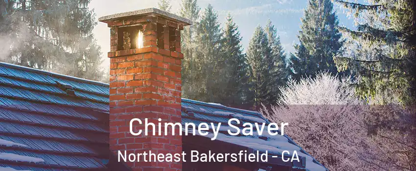Chimney Saver Northeast Bakersfield - CA