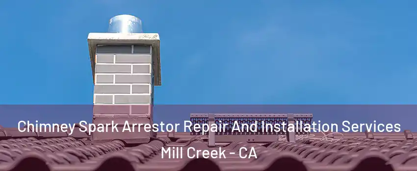 Chimney Spark Arrestor Repair And Installation Services Mill Creek - CA