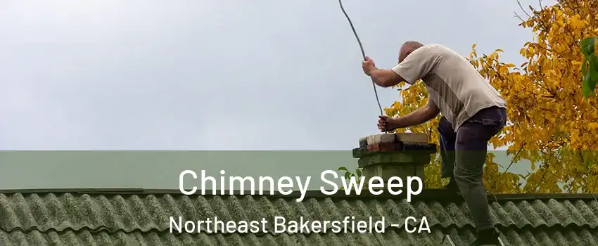 Chimney Sweep Northeast Bakersfield - CA