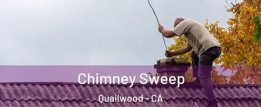 Chimney Sweep Quailwood - CA