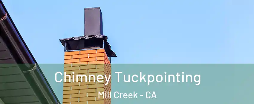 Chimney Tuckpointing Mill Creek - CA