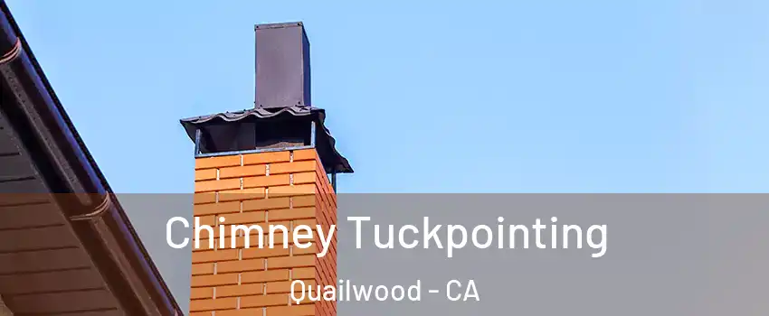 Chimney Tuckpointing Quailwood - CA