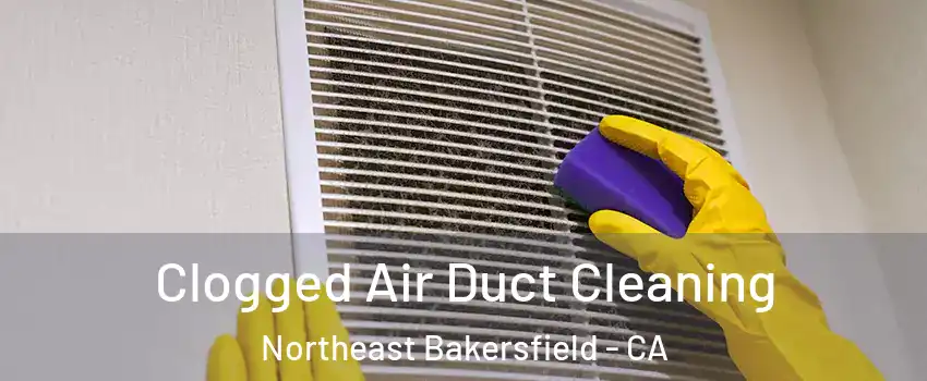 Clogged Air Duct Cleaning Northeast Bakersfield - CA
