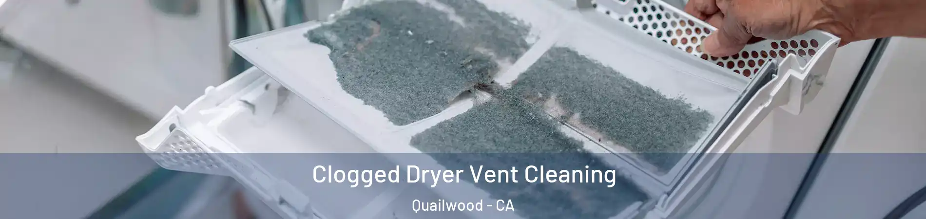 Clogged Dryer Vent Cleaning Quailwood - CA