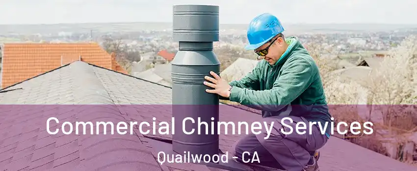 Commercial Chimney Services Quailwood - CA