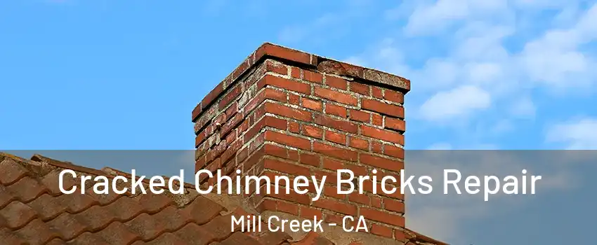 Cracked Chimney Bricks Repair Mill Creek - CA