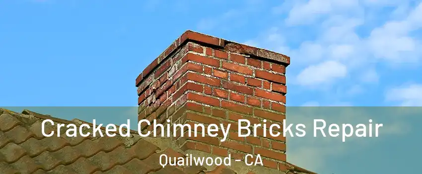 Cracked Chimney Bricks Repair Quailwood - CA