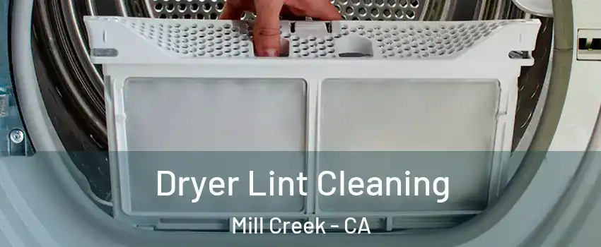 Dryer Lint Cleaning Mill Creek - CA